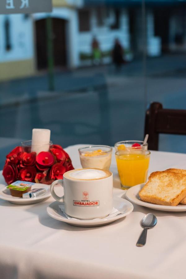 Hotel Embajador Сан-Мігель-де-Тукуман Екстер'єр фото